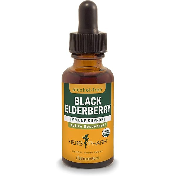 HERB PHARM Organic Black Elderberry Glycerite, 1 FZ | Amazon (US)