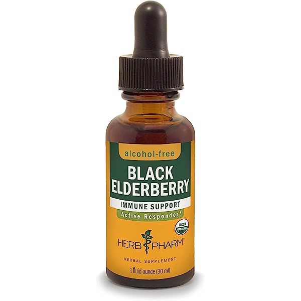 HERB PHARM Organic Black Elderberry Glycerite, 1 FZ | Amazon (US)