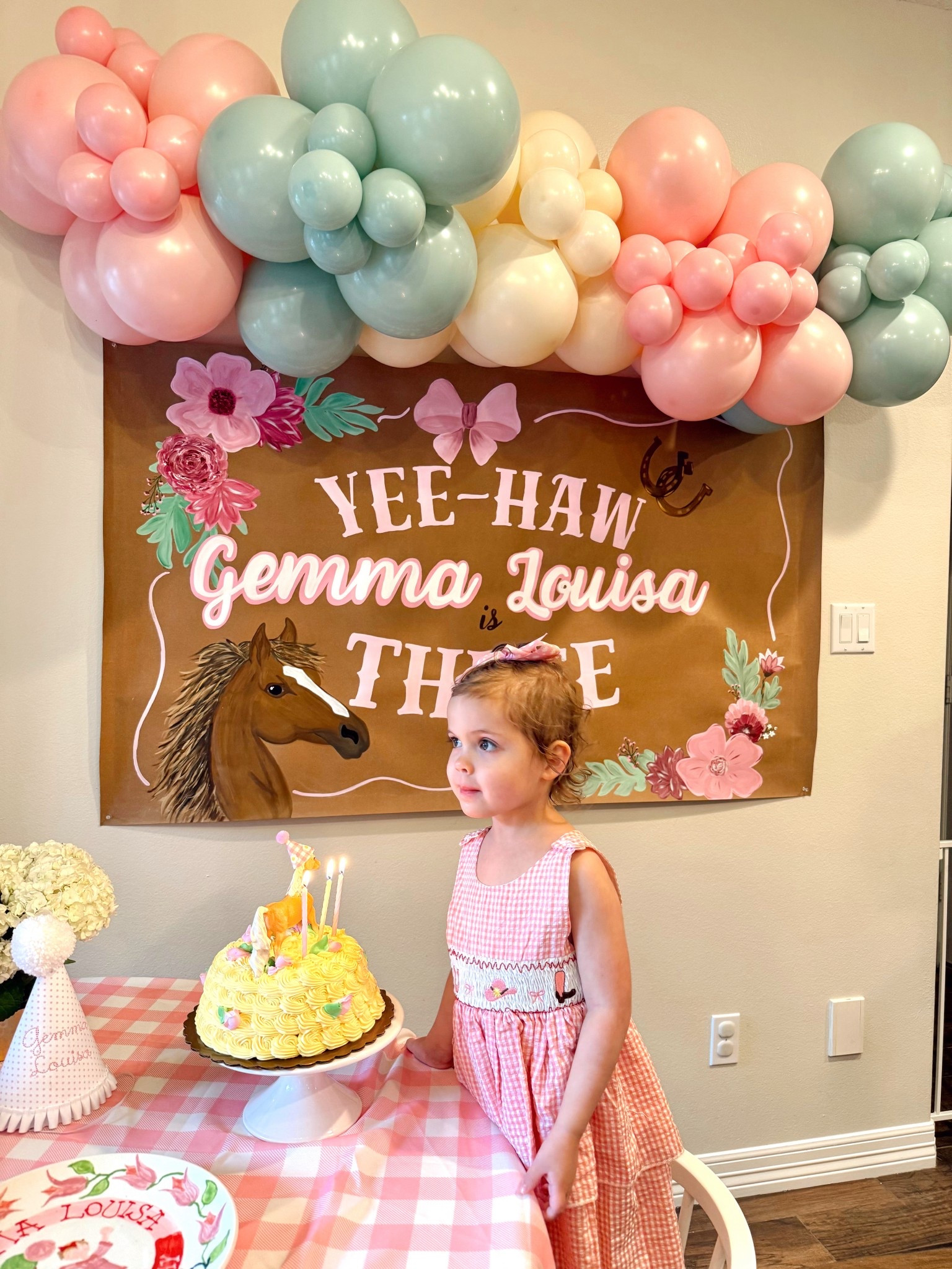 Cowgirl birthday 
Cowgirl toddler dress
Toddler party hat 
Gingham tablecloth 
Amazon party finds


#LTKParties #LTKKids