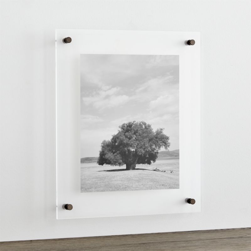 Gunmetal 19x16" Floating Acrylic Wall Frame + Reviews | Crate and Barrel | Crate & Barrel