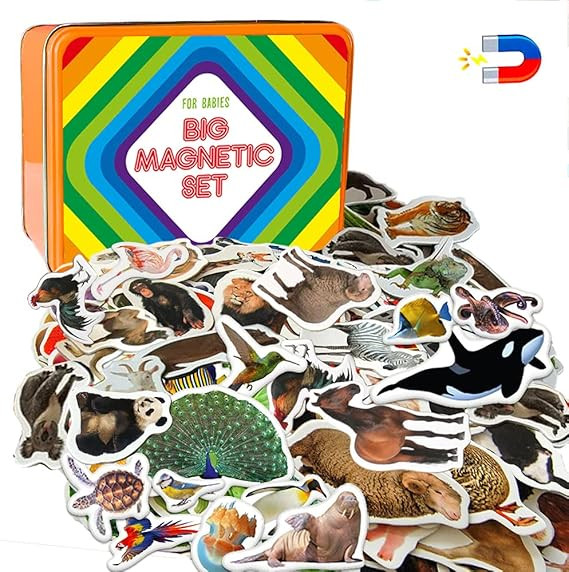 Fridge Magnets for Kids MAGDUM Farm+Zoo+Sea+Birds+Forest Animals - 110 Large Fridge Magnets for K... | Amazon (US)