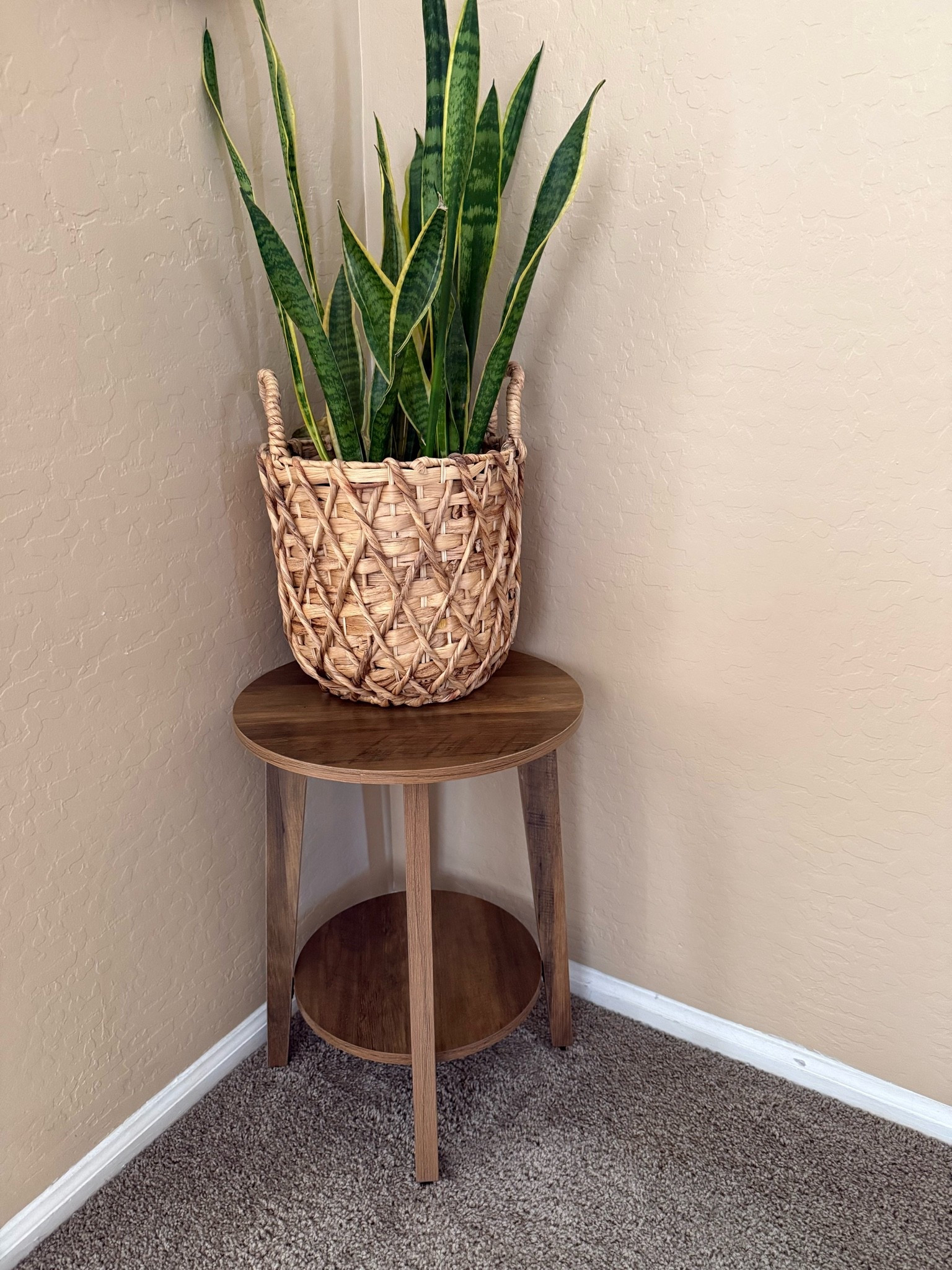 This adorable two-tiered small round end table is easy to assemble and looks quite expensive. It’s perfect for small spaces, living room or bedroom. The table is sturdy enough to hold several books or decorative items.

#LTKSeasonal #LTKHome #LTKSaleAlert