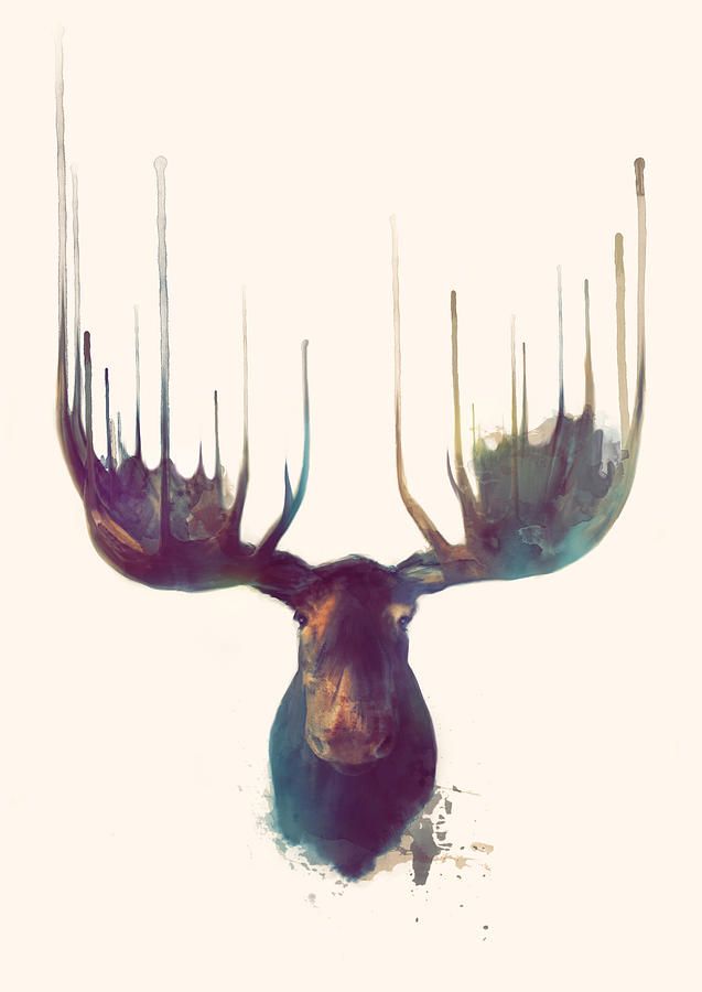 Moose | Fine Art America