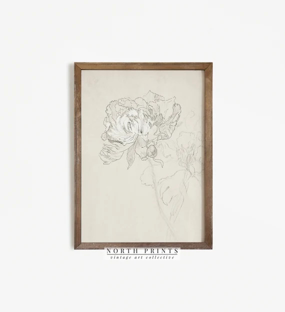 Flower Sketch  Vintage Botanical Line Drawing  Floral Art | Etsy | Etsy (US)