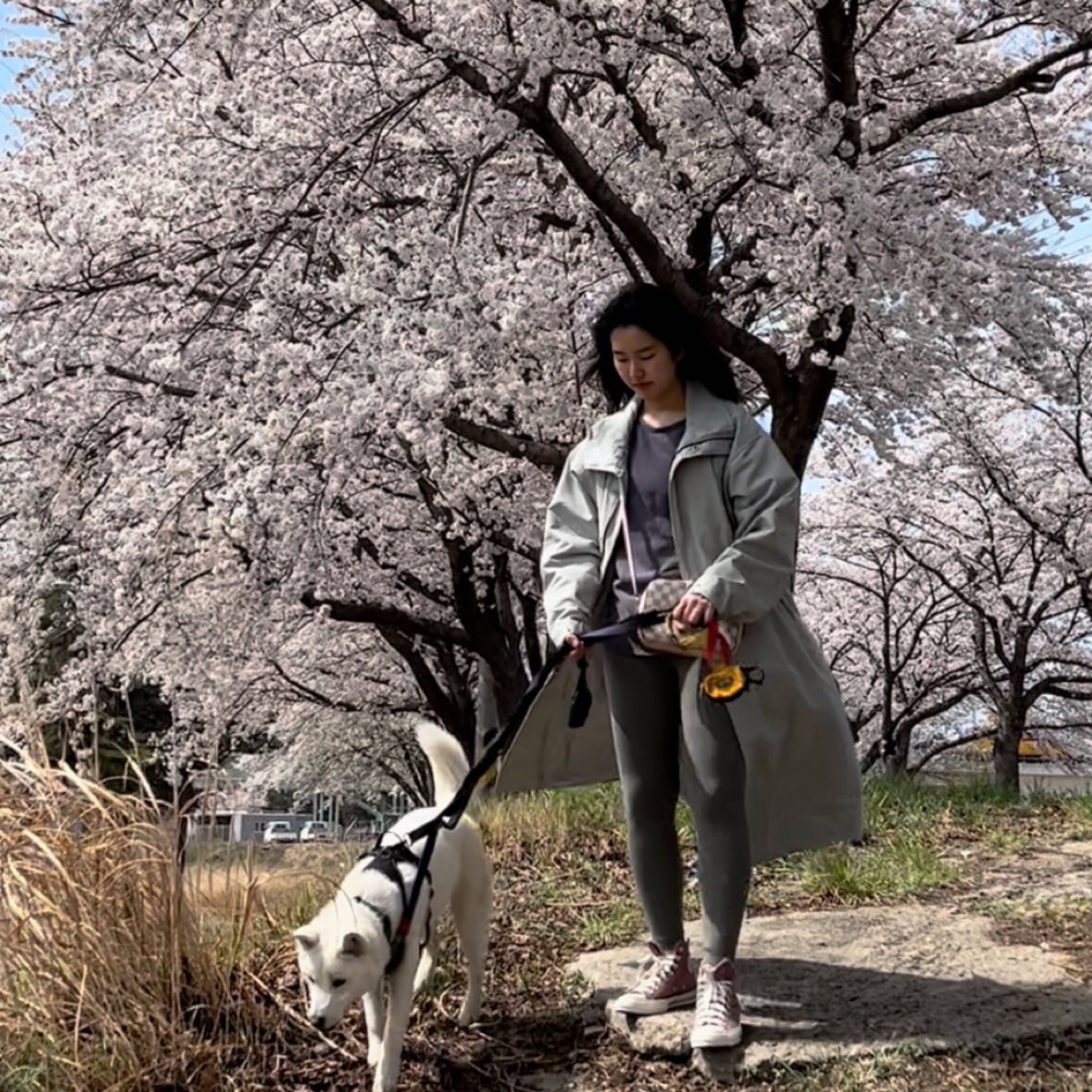 🐰🌸

#LTKsalealert #LTKSeasonal #LTKFind