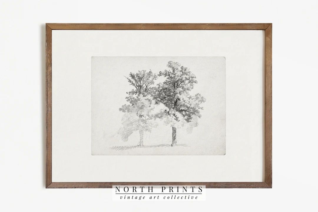 Tree Study Drawing | Vintage Sketch | Two Trees Etching PRINTABLE North Prints | 371 | Etsy (US)