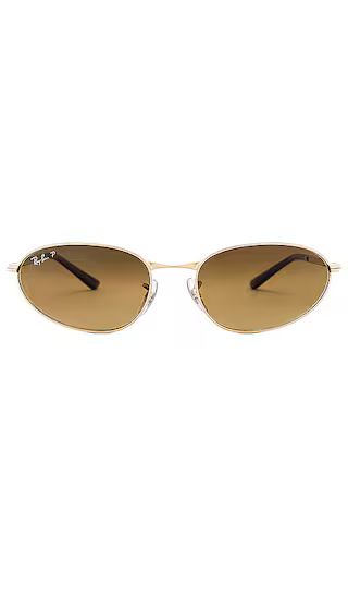 Oval Sunglasses in Arista | Revolve Clothing (Global)