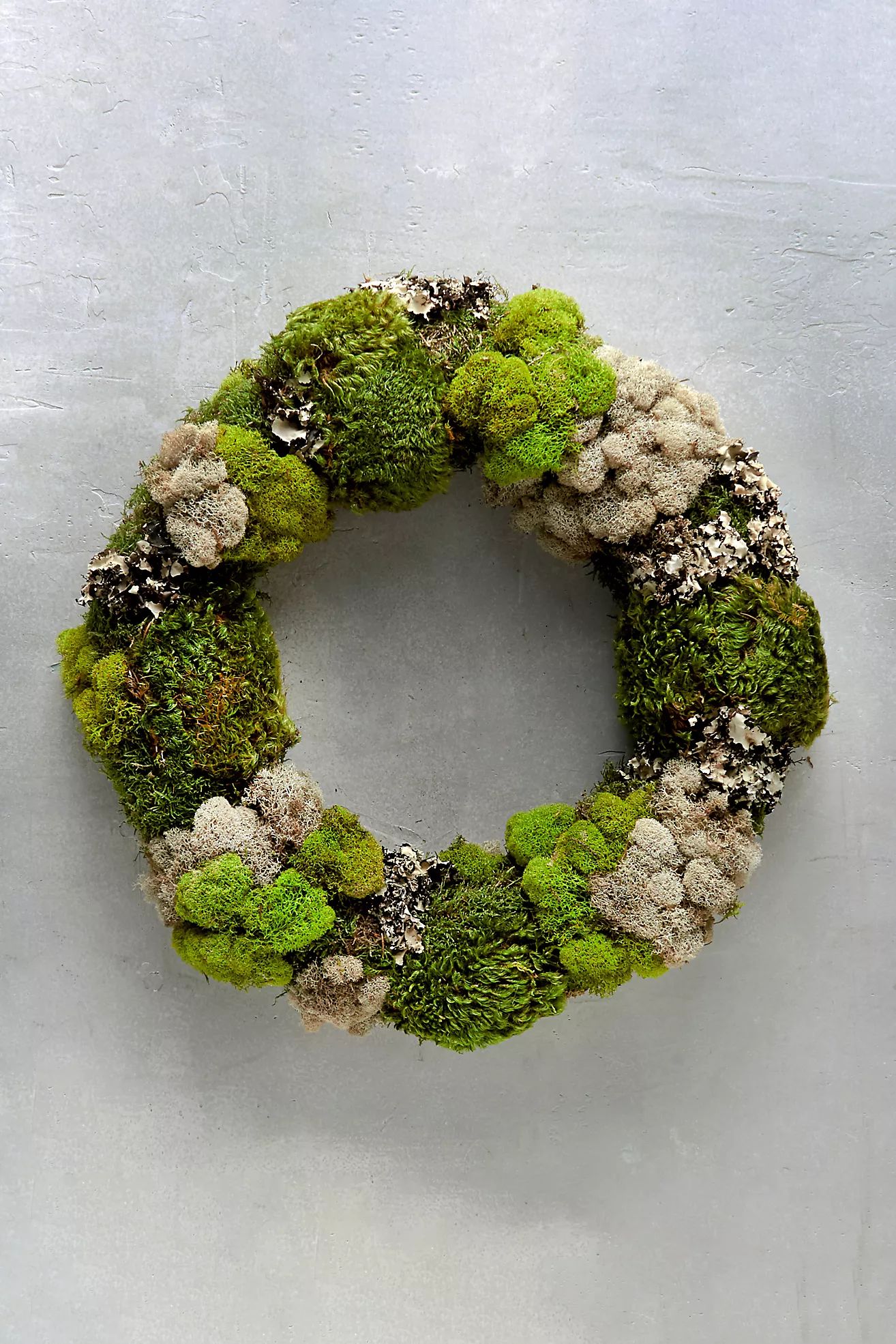 Mixed Moss Wreath | Anthropologie (US)