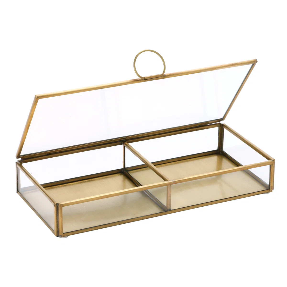 Brass and Glass Display Box with Two Compartments | Wayfair North America