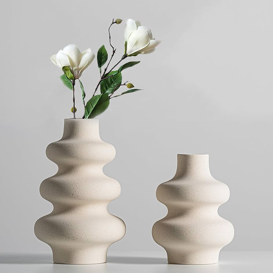 Steviieden Ceramic Vases Set 2, Modern Home Decor,Off White Round Vases,Modern Dried Flower Vases... | Amazon (US)