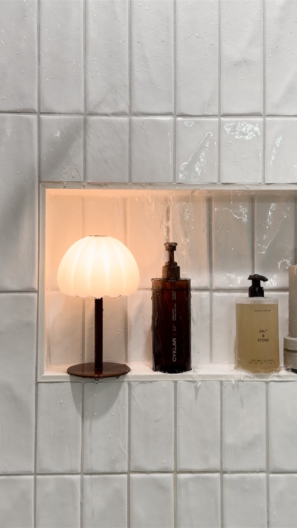 Shower niche styling ideas ✨ Waterproof lamp, elevated bath essentials, and chic shower organization that makes everyday routines feel like a luxury spa. Loving this modern bathroom shelf styling with clean tile and designer details. #LTKHome #BathroomDecor #ShowerNiche #BathroomStyling #ShowerOrganization #LuxuryBathroom #SpaBathroom #HomeDecorIdeas #NeutralHomeDecor #BathroomInspo

#LTKHome #LTKBeauty