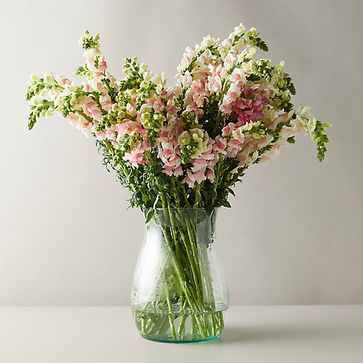 Fresh Snapdragon Bouquet | Terrain