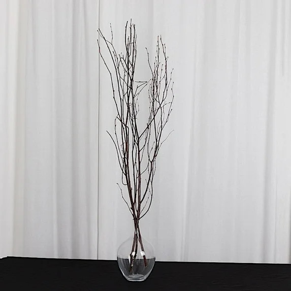 BalsaCircle 6 Natural Extra Long 46" Decorative Birch Tree Branches Vase Fillers Rustic Dried Twi... | Walmart (US)
