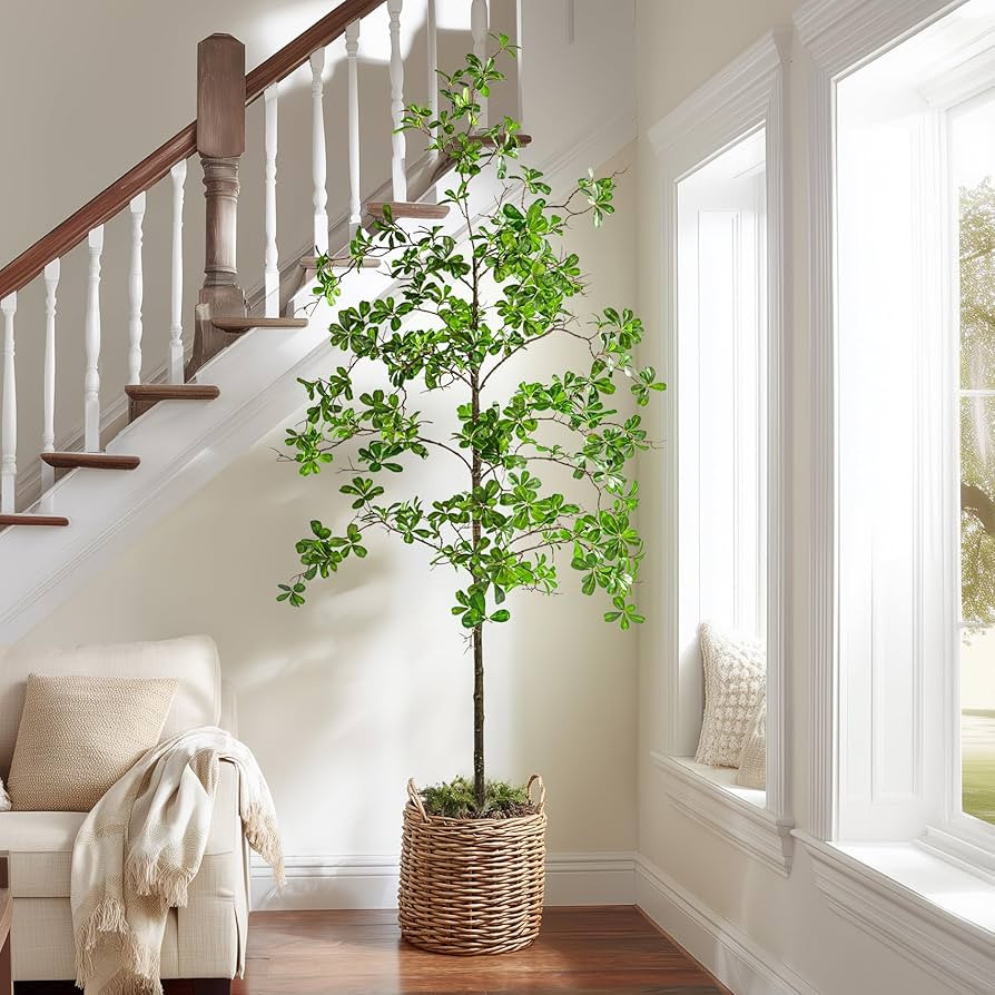 Faux Black Olive Tree 7ft, Faux Plants Indoor Large Tall Tree Artificial Shady Lady Tree with Nat... | Amazon (US)