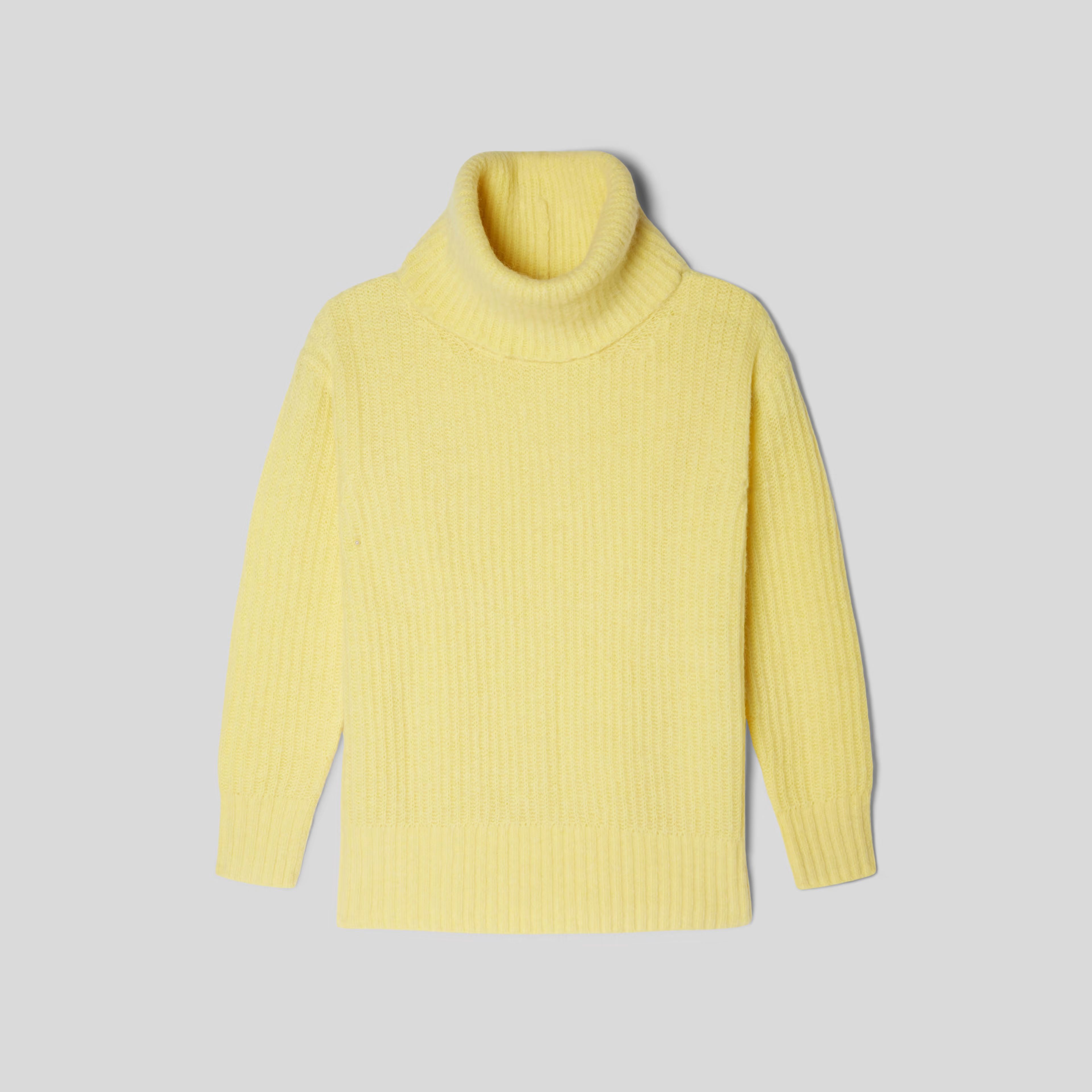 The Alpaca Oversized Turtleneck | Everlane