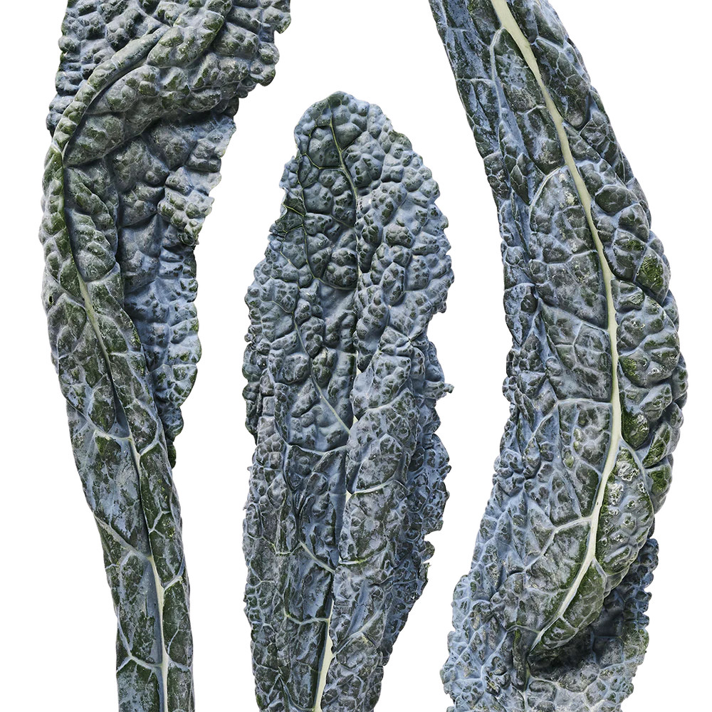 Dazzling Blue Kale | Lettuce Grow