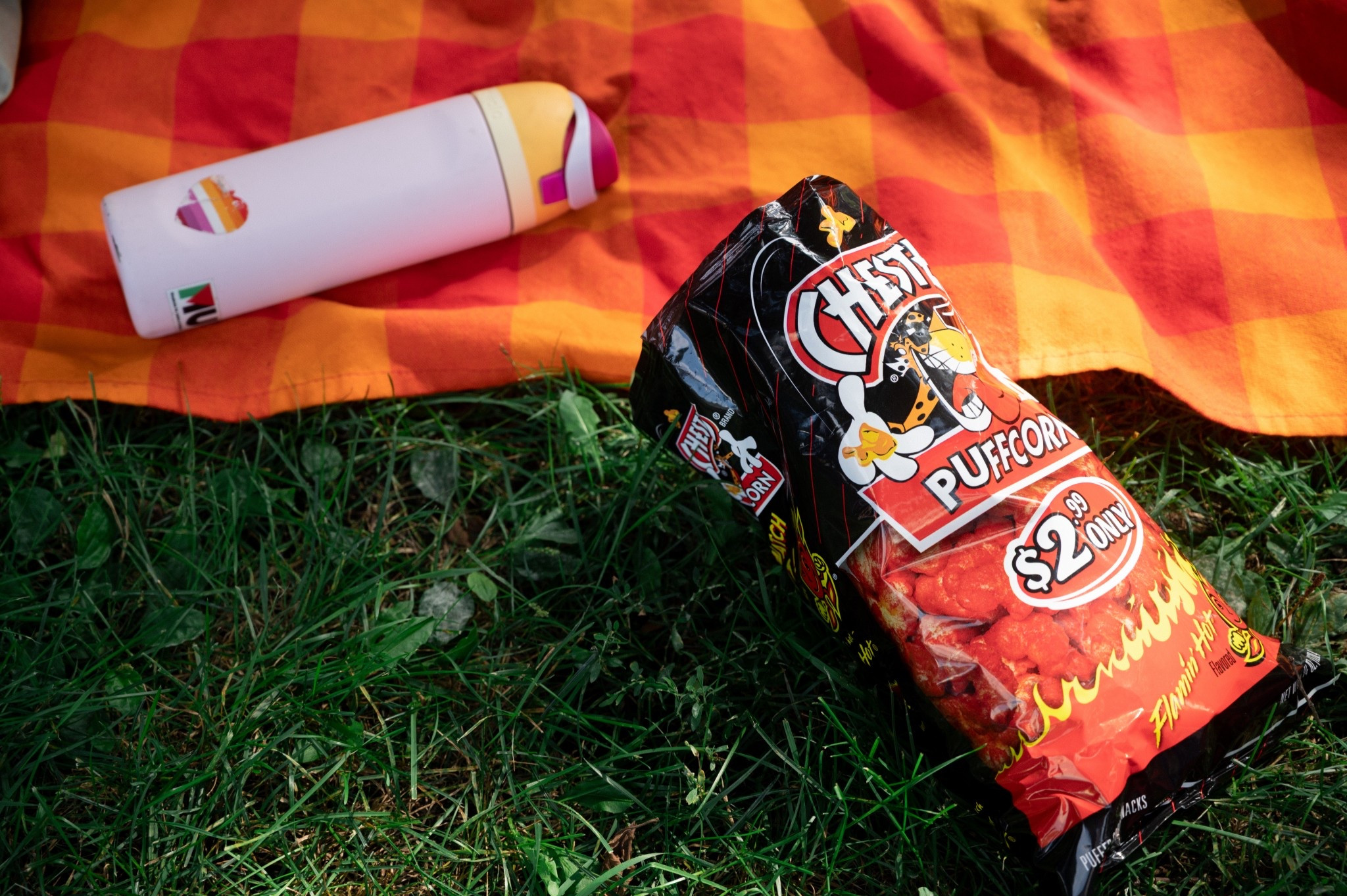Snacky girl dinner in the park on a summer evening vibesssss 🔥🧯🧺