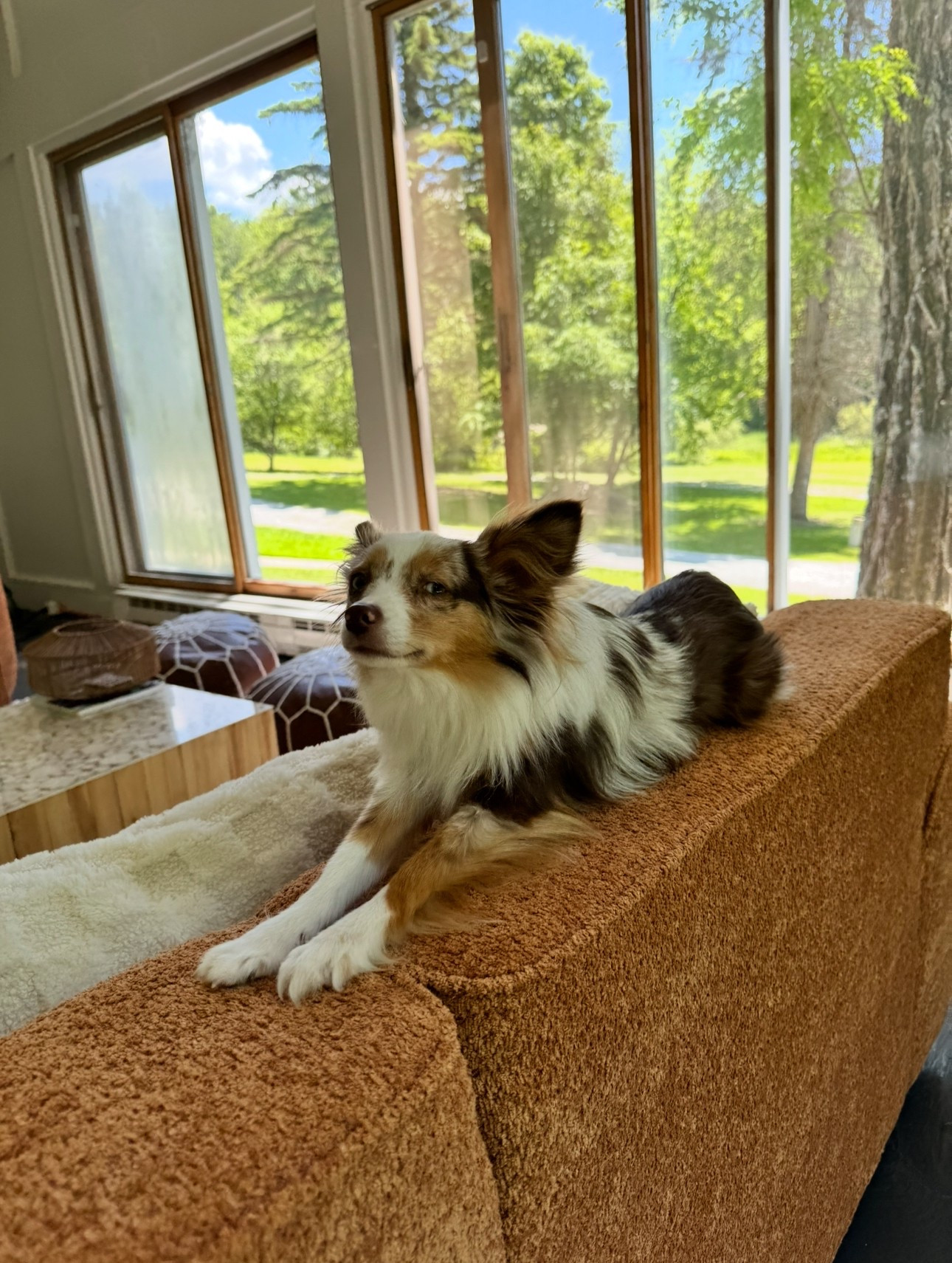 A little glimpse inside my vacation home! I wanted something simple, cozy, and natural, and @wayfair made it so easy to put together. Everything in this room has held up beautifully over the past year and a half, and I still love how it all flows.
#Wayfair #WayfairPartner

#LTKHome #LTKSaleAlert