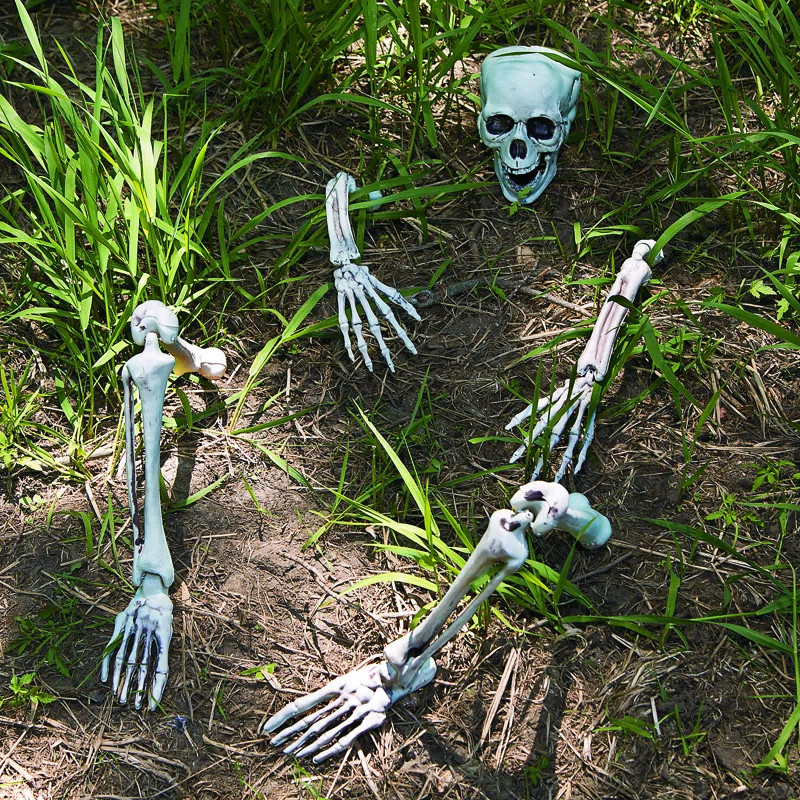9-Piece Skeleton Yard Figurine Set | Wayfair North America