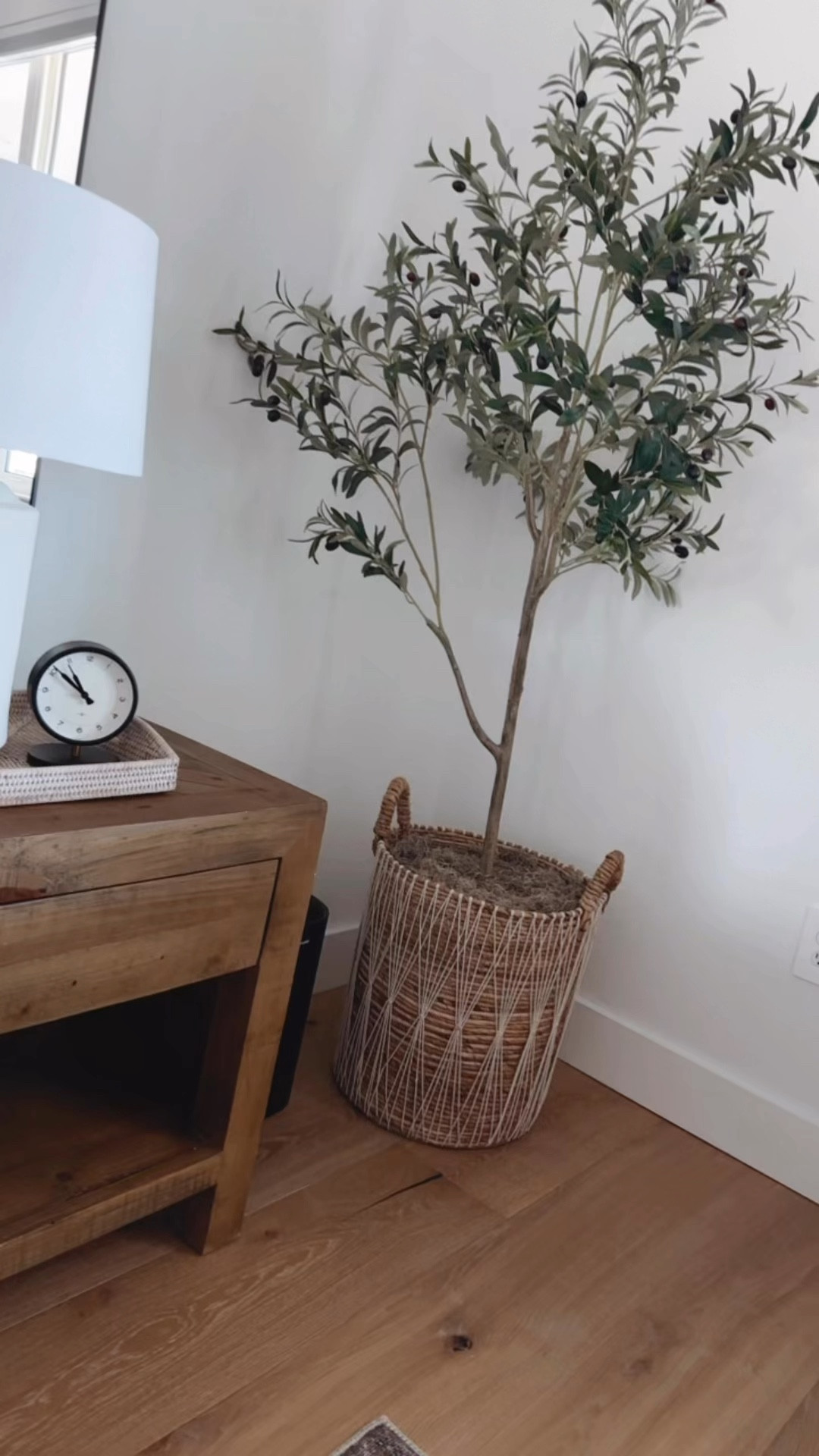 6ft olive tree 

#LTKHome #LTKVideo #LTKFindsUnder50
