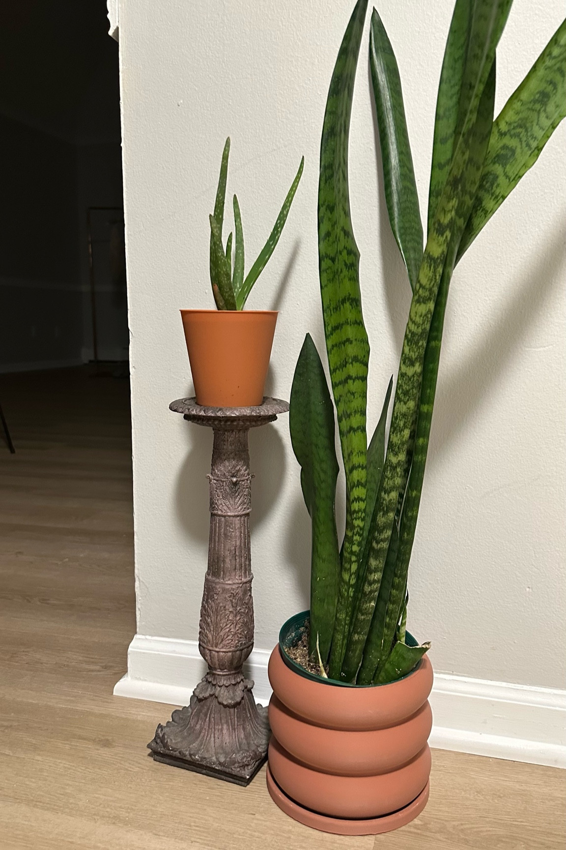 Trending planter 
Twisted planter for pots 
Faux plants 
3D printed planter 
Urban outfitters home 
Gift idea dad 

#LTKGiftGuide #LTKunder100 #LTKhome