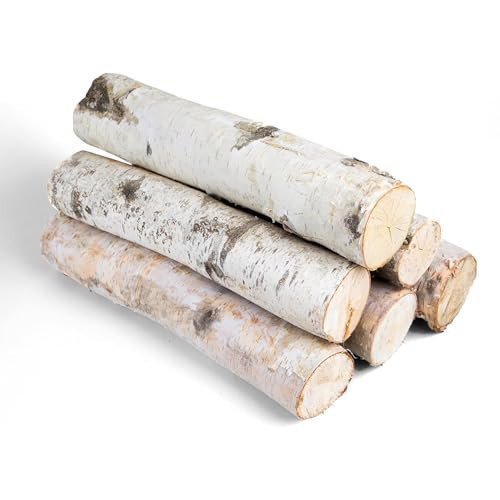 17 Inch Natural Birch Logs - Decorative Dried Birch Wood Logs for Fireplace, Wedding Centerpieces - Unfinished Wood DIY Crafts, & Home Décor - Birch Log Bundle for Indoor Display (6 PCS) (2.5"-4" DIA) | Amazon (US)