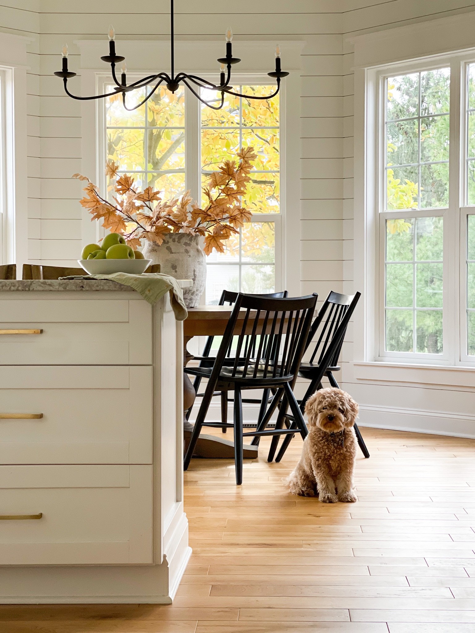 Kitchen, nook, dining, round table, shiplap, chandelier, Pottery Barn, Restoration Hardware, Golden Doodles, cottage kitchen, farmhouse kitchen, modern farmhouse, fall decor, Autumn decor, black chairs

#LTKSeasonal #LTKhome #LTKsalealert