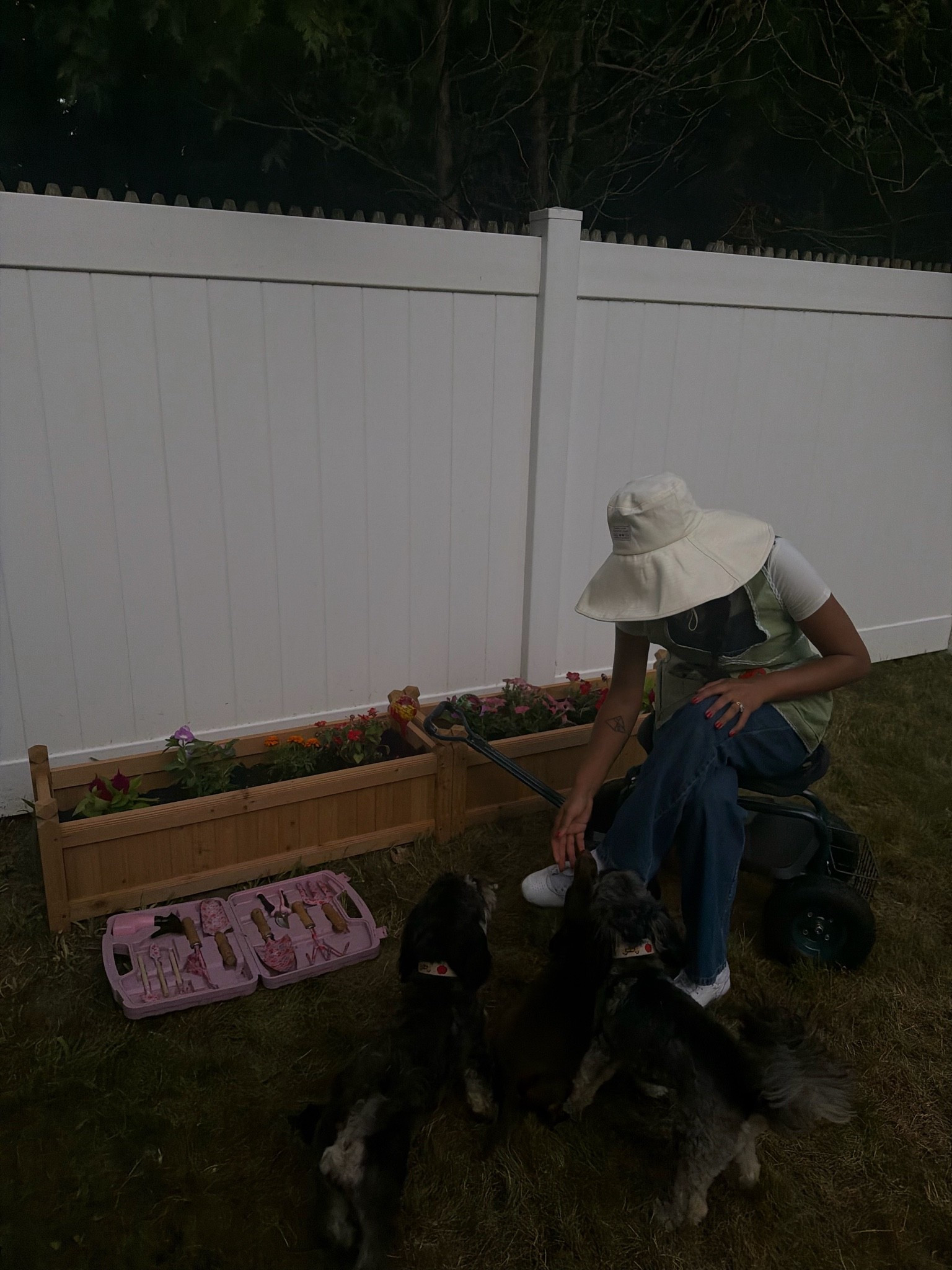 got everything I need to start my garden from @Wayfair #wishyouwerehere #outdoor #Wayfair #Ad #WayfairPartner