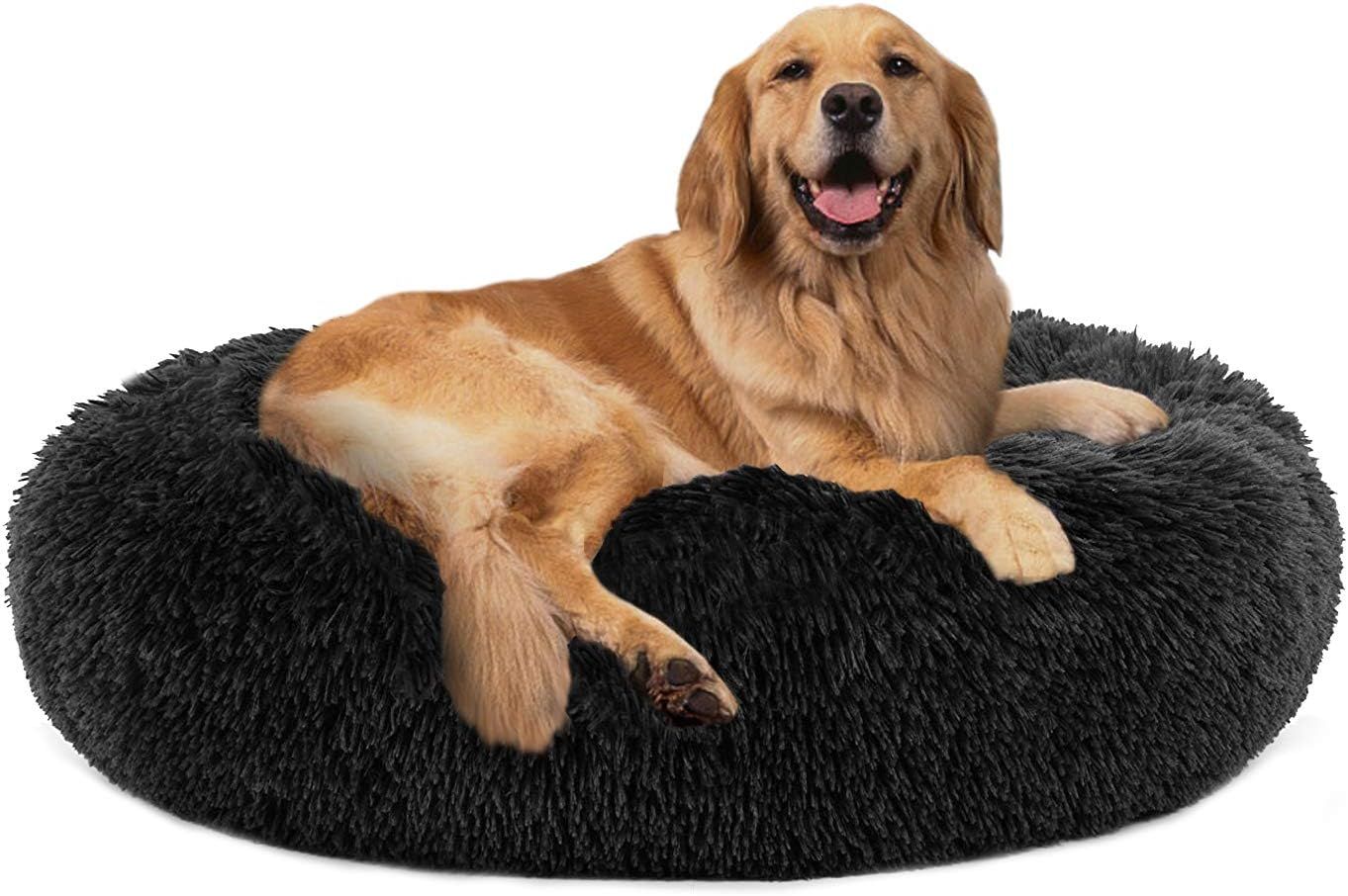 PUPPBUDD Large Dog Bed Calming Dog Bed (L/XL/XXL/XXXL) for Medium and Large Dogs Comfortable Pet ... | Amazon (US)