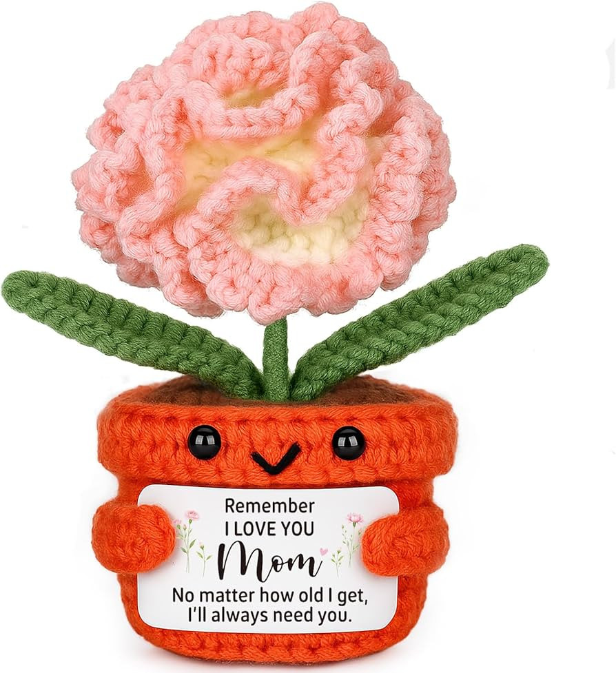 Mothers Day Birthday Gifts for Mom from Son Daughter, Handmade Crochet Carnation Flowers I Love Y... | Amazon (US)