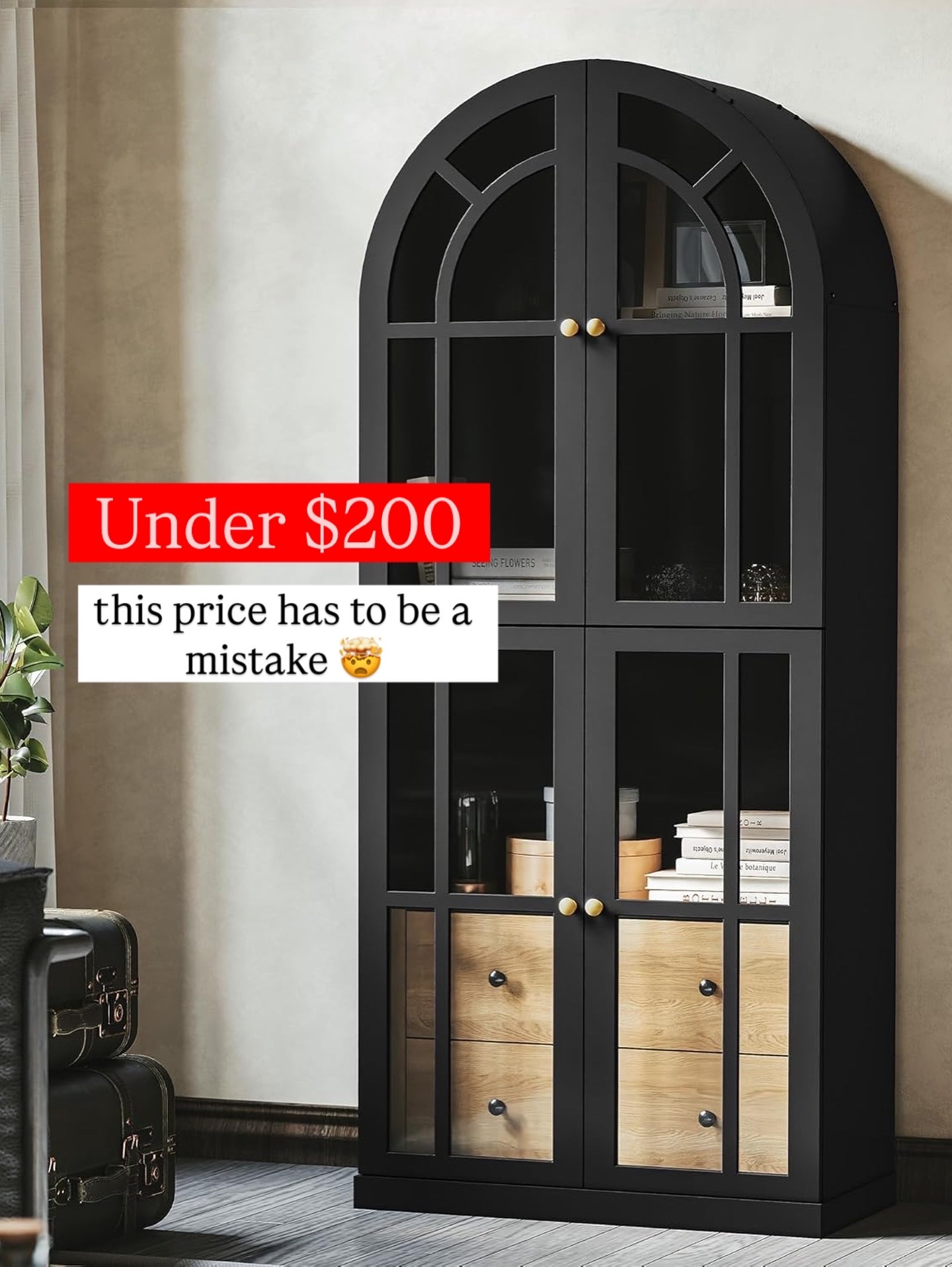 Arched Amazon book case

#LTKHome #LTKSaleAlert #LTKU