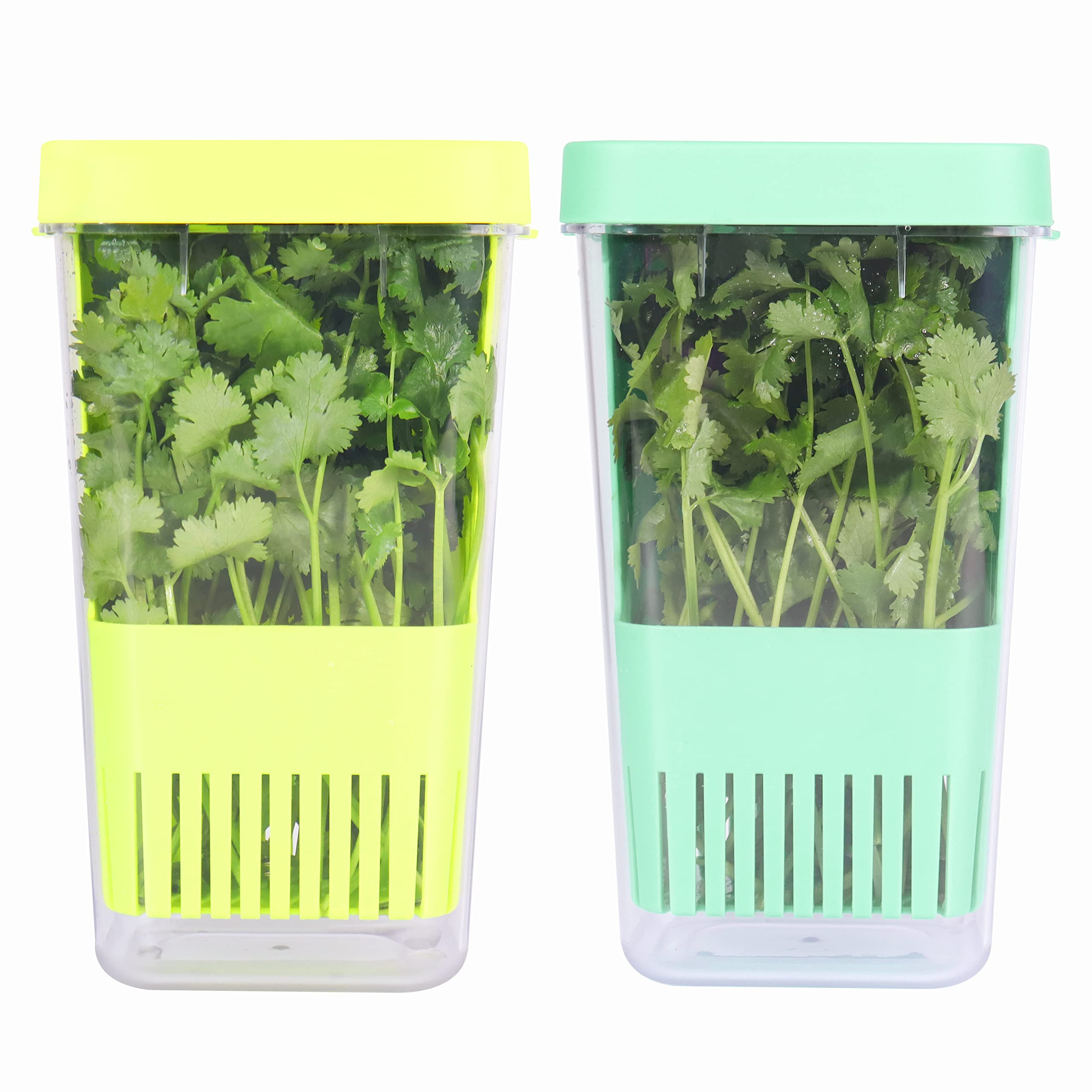 LUVCOSY 2 Pack Herb Keeper, BPA-Free Plastic Herb Saver with an Inner Basket for Cilantro, Mint, ... | Amazon (US)