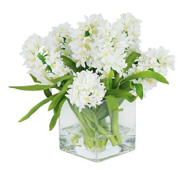 Faux Hyacinth in Square Glass | Pottery Barn (US)