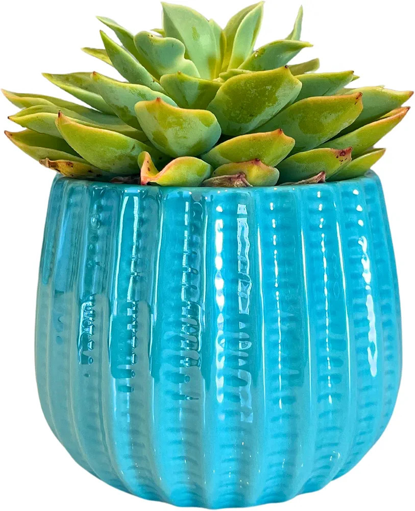 Admired By Nature 4" Ceramic Flower Planter, Ceramic Pot Planter, Indoor Ceramic Bowl, Houseplant... | Amazon (US)