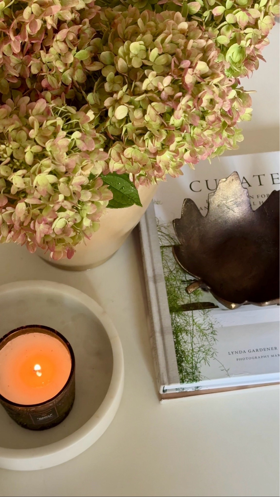 Simple fall coffee table styling…

#potterybarn #falldecor #amazonhome #brassleaf #candle
