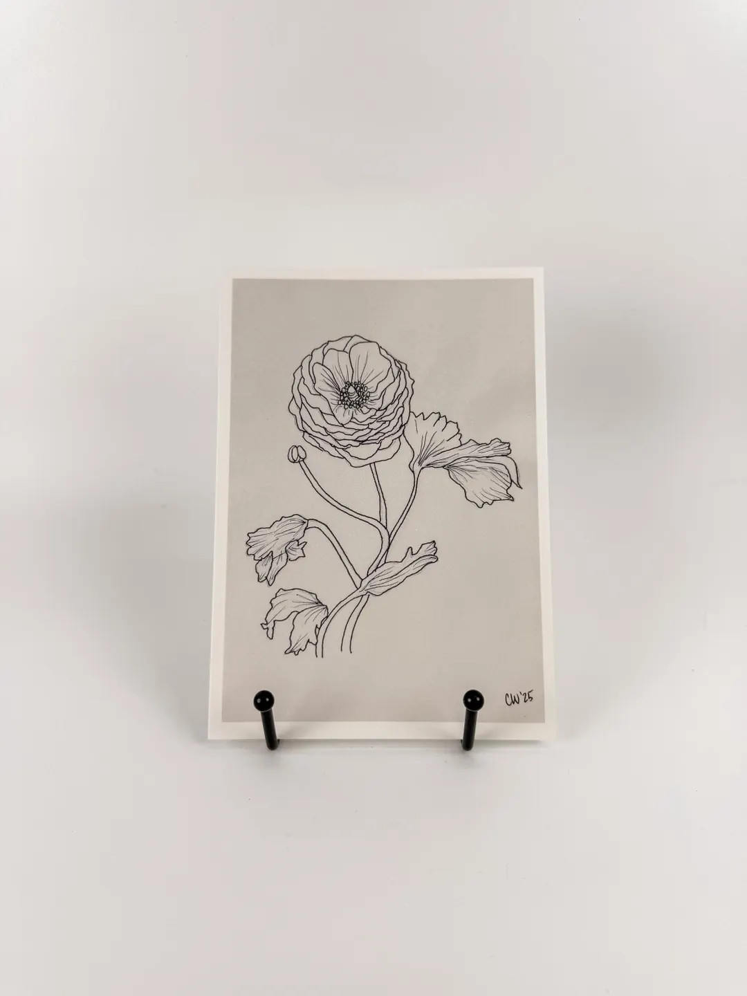 Ranunculus Flower Art Print, 5x7 Print Of Floral Drawing, Black And White Garden Inspired Wall Ar... | Etsy (Global)