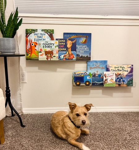 Just packed up the Christmas books and changed up Nate’s acrylic book shelves in his nursery! Boy room, boy nursery ideas, spring books, baby nursery 

#LTKbaby #LTKkids #LTKbump