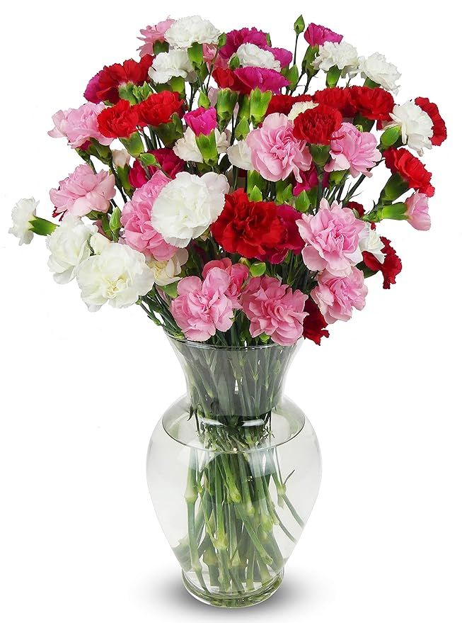 Benchmark Bouquets 20 stem Rainbow Mini Carnations, Next Day Prime Delivery, Farm Direct Fresh Fl... | Amazon (US)