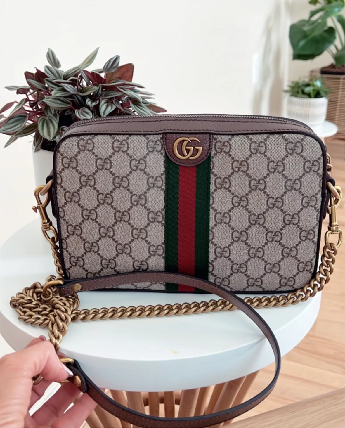 Gucci Ophidia GG small shoulder bag curated on LTK