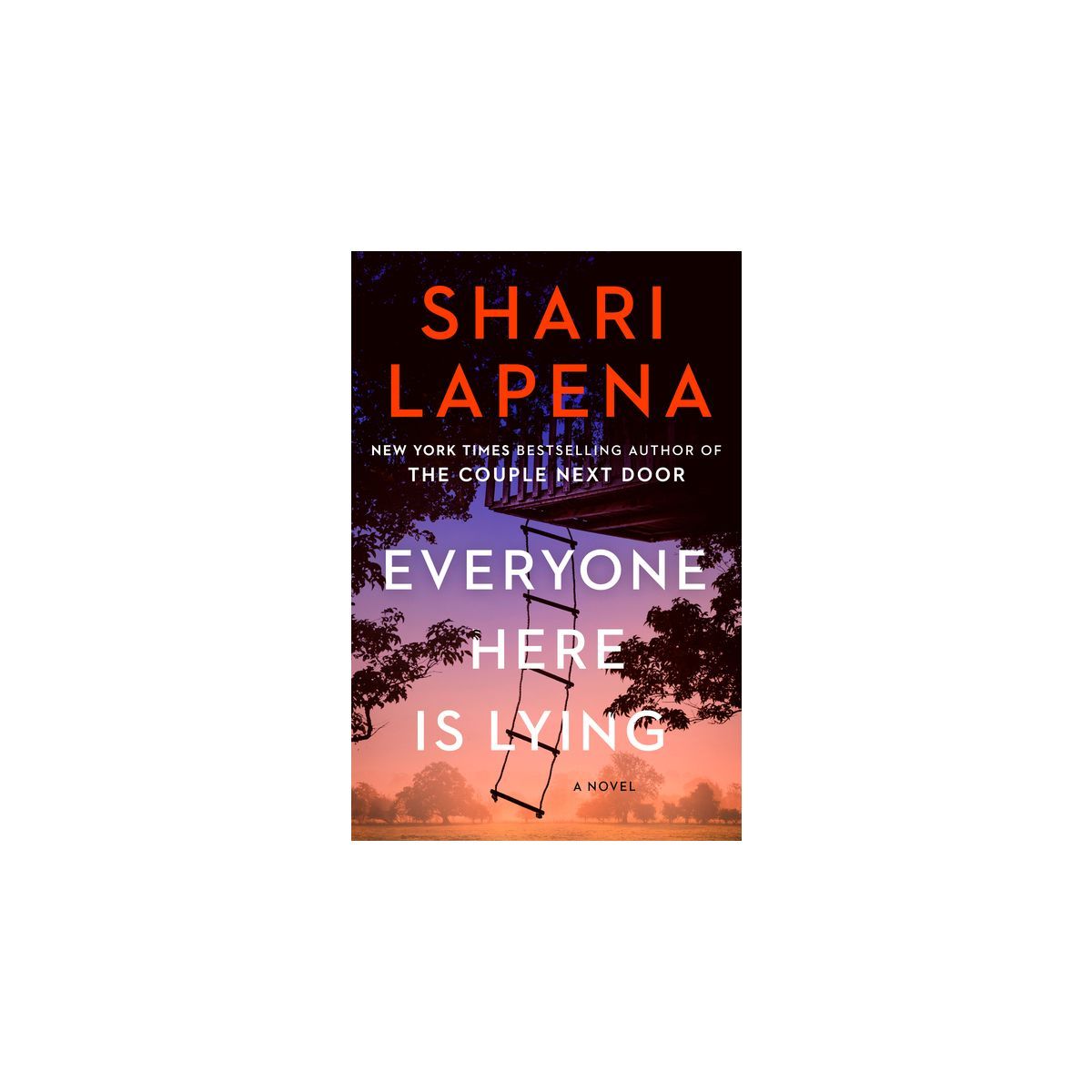 Everyone Here Is Lying - by Shari Lapena | Target
