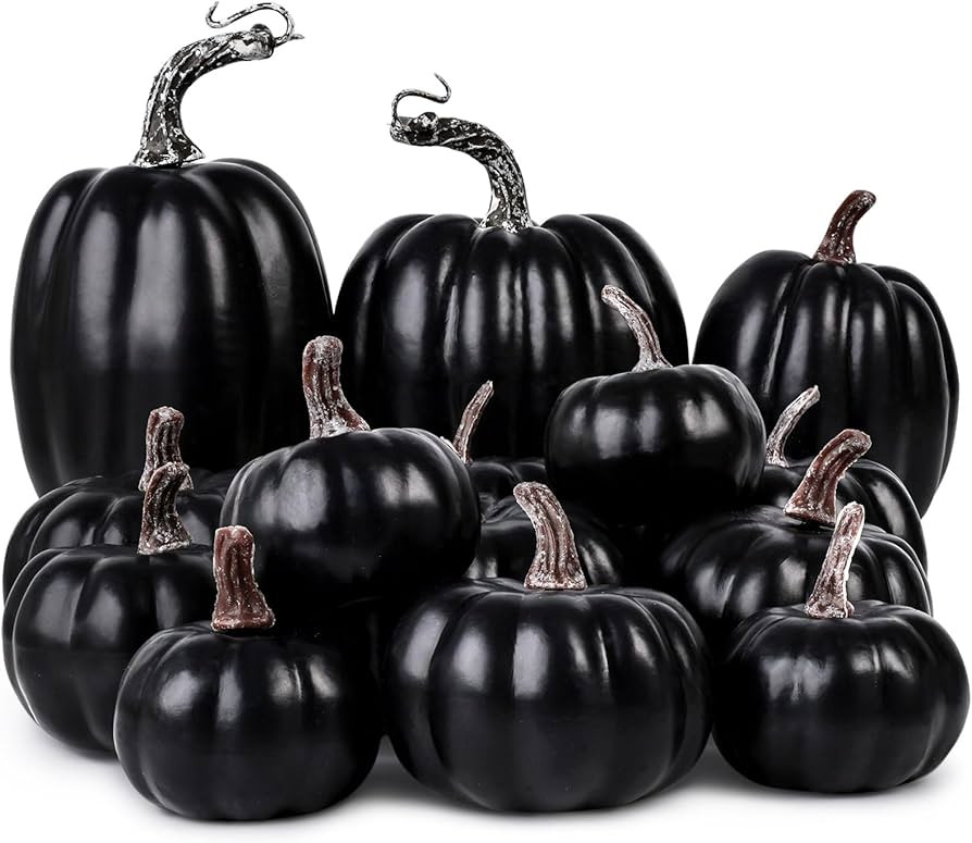 DomeStar 14PCS Black Artificial Pumpkins, Assorted Sizes Fake Pumpkins Bulk Foam Pumpkins for Dec... | Amazon (US)