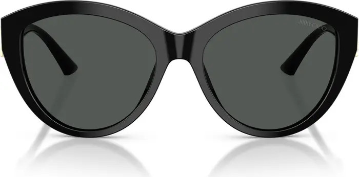 Jimmy Choo 55mm Phantos Sunglasses | Nordstrom | Nordstrom