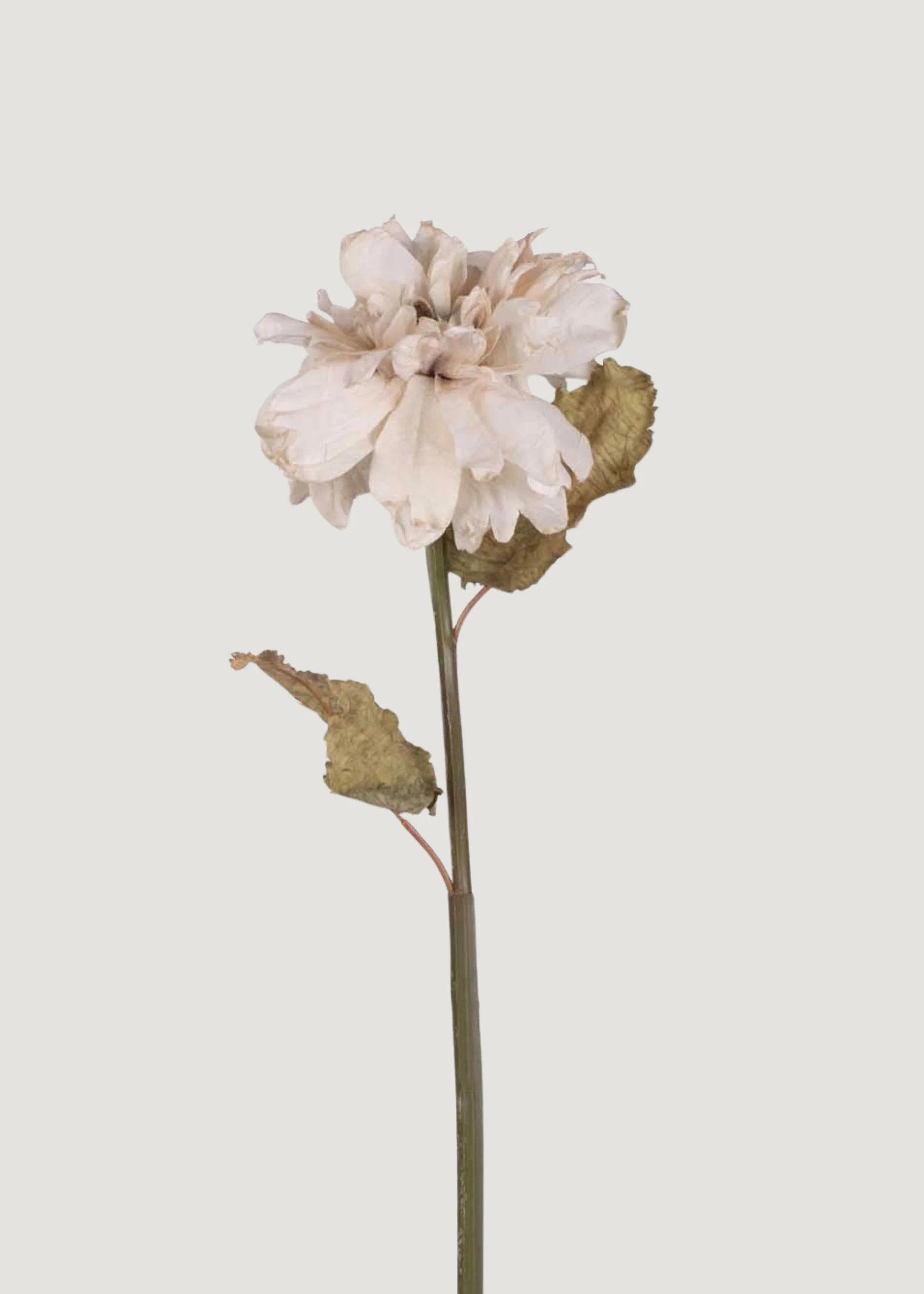 Beige Blush Dahlia | Best Artificial Wedding Flowers at Afloral | Afloral