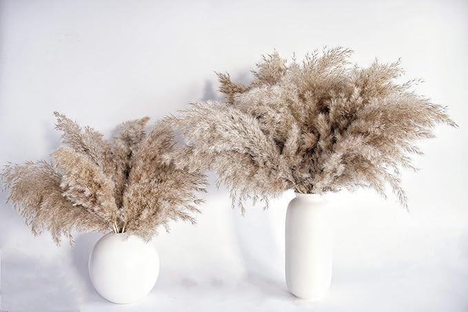 pampas grass decor, Natural Dry Pampas Grass Small, Short Pampass Bulk for farmhouse, wall, kitch... | Amazon (US)
