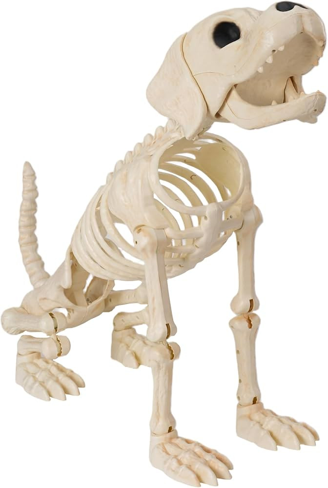 JOYIN Halloween Golden Retriever Skeleton 34” Animal Dog Plastic Skeleton with Movable Posable ... | Amazon (US)