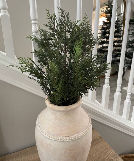 Faux cedar stems are so good!! 
These are the 25” for $5 a stem!

#LTKHoliday #LTKhome