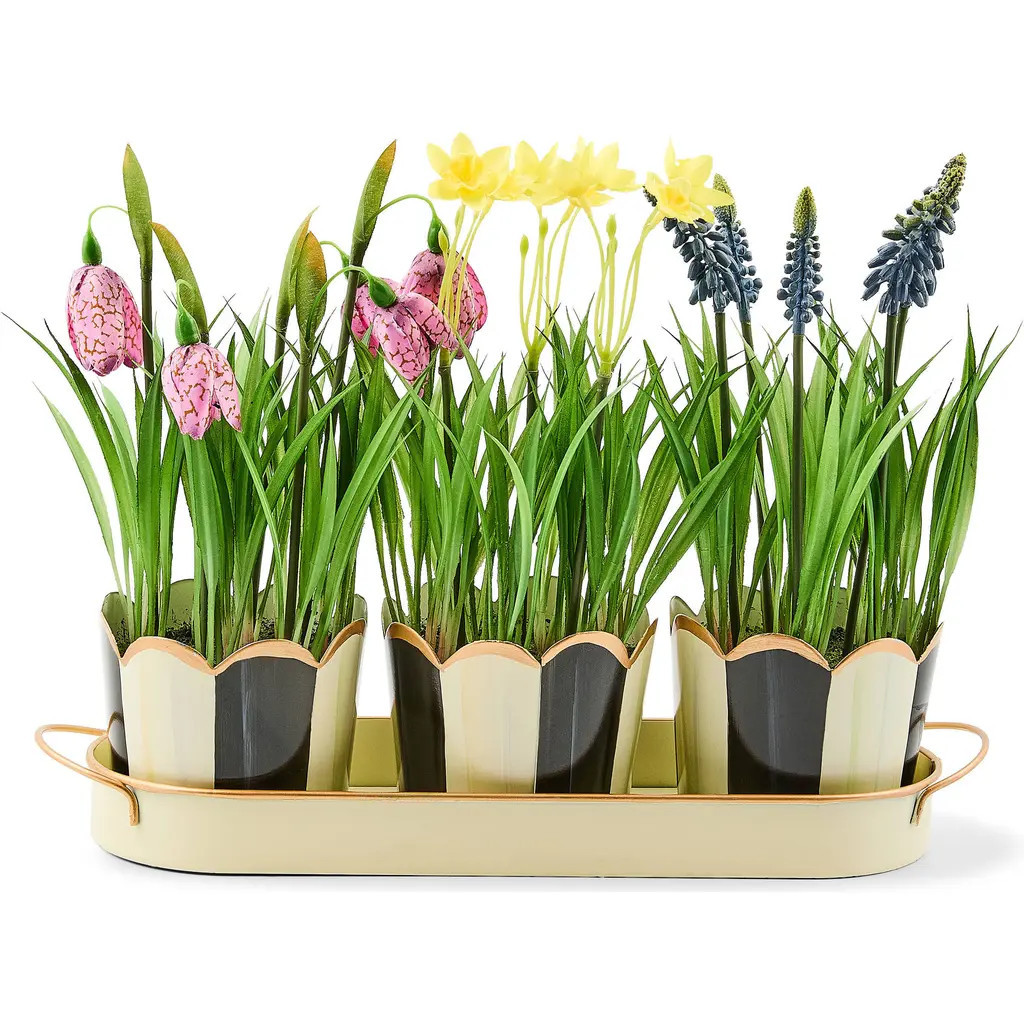 MACKENZIE CHILDS Courtly Stripe Triple Potted Blooms in Green at Nordstrom | Nordstrom