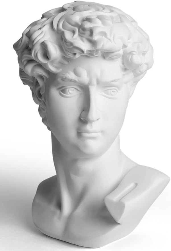 Garwor David Statue Head Sculptures 6" Michelangelo David Bust Figurine Classic Greek Roman Bust ... | Amazon (US)