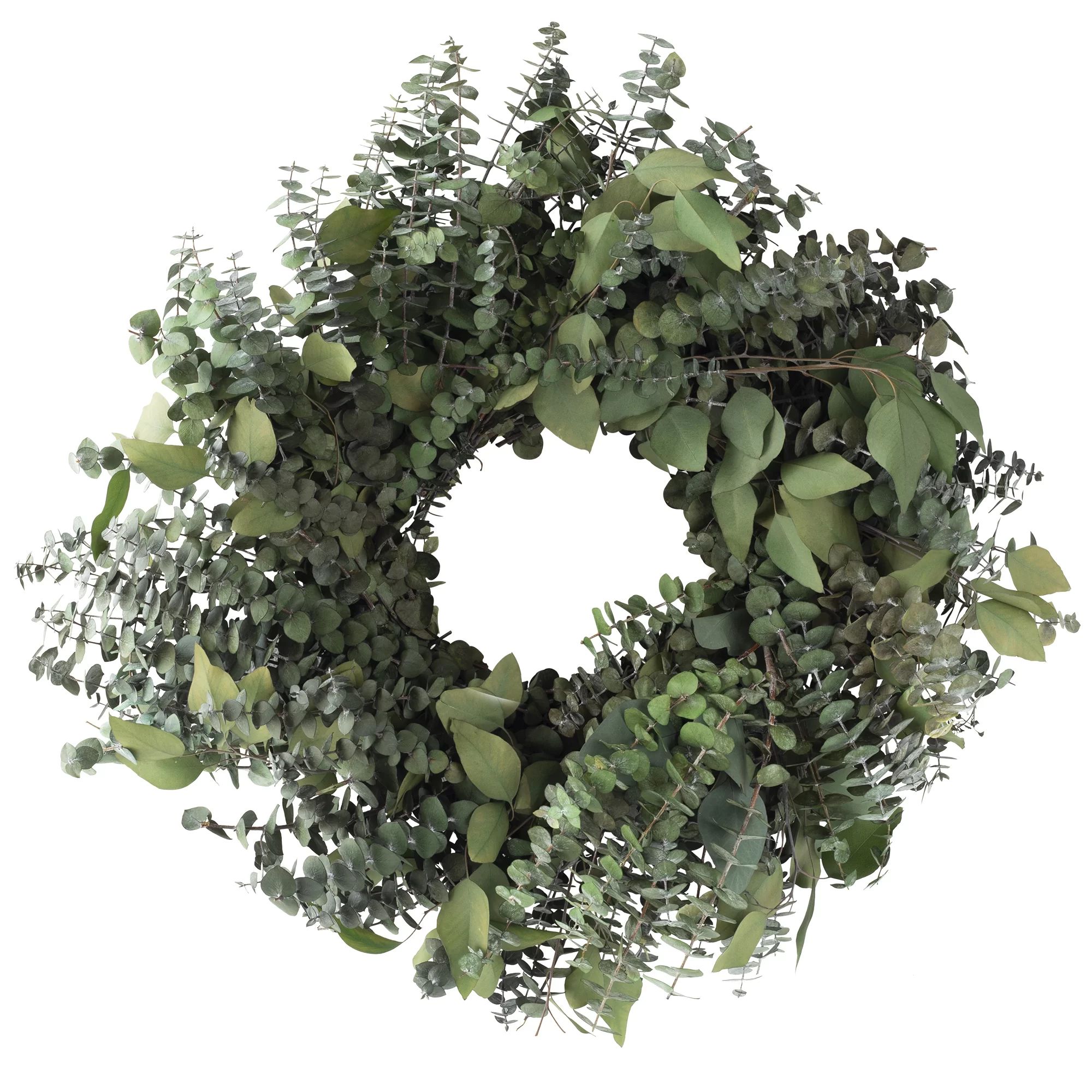Gracie Oaks Handcrafted Eucalyptus Preserved Eucalyptus 20'' Wreath & Reviews | Wayfair | Wayfair North America