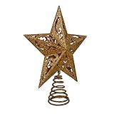 Kurt Adler 8-Inch Gold Glittered 5 Point Star Treetop | Amazon (US)